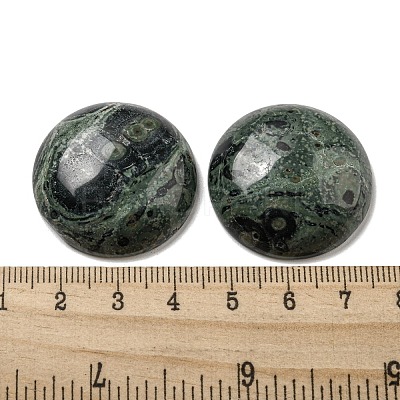 Natural Kambaba Jasper Cabochons G-C115-02B-24-1