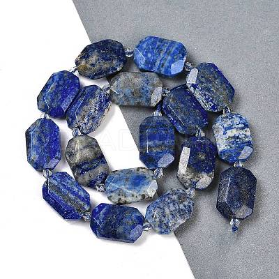 Natural Lapis Lazuli Beads Strands G-B125-P11-01-1