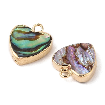 Natural Paua Shell Heart Charms with Brass Edge SHEL-P017-19G-1
