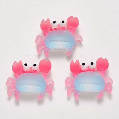 Translucent Frosted Resin Cabochons CRES-N022-12-1