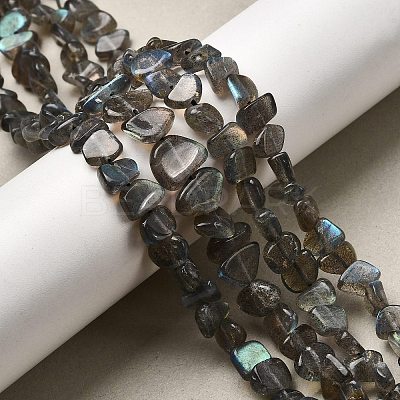 Natural Labradorite Beads Strands G-A279-A01-01-1