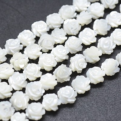 Natural White Shell Beads Strands SSHEL-P015-01A-12mm-1