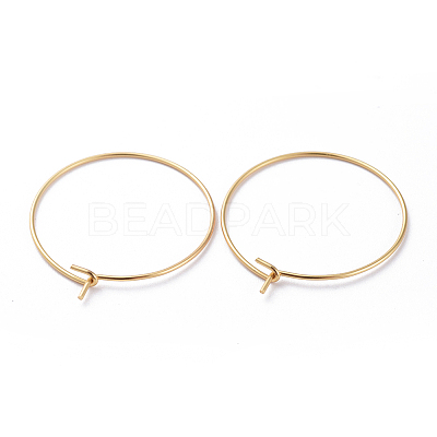 316 Surgical Stainless Steel Hoop Earring Findings LS-X-STAS-J025-01C-G-1