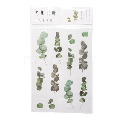Flower Pattern Waterproof Self Adhesive Hot Stamping Stickers DIY-I063-06-1