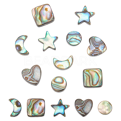 10Pcs 5 Styles Natural Abalone Shell/Paua Shell Beads Sets SSHEL-NB0001-43-1