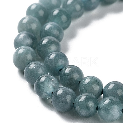 Dyed Natural Malaysia Jade Beads Strands G-G021-01A-01-1