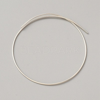 999 Fine Silver Wire STER-WH0008-14B-1