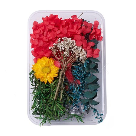 Dried Flowers DIY-D052-21-1