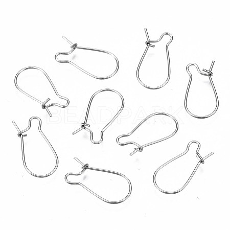 Tarnish Resistant 304 Stainless Steel Hoop Earring Findings STAS-S117-008B-01-1