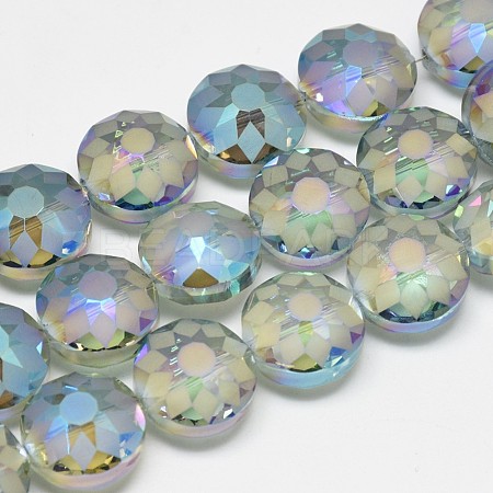 Electroplate Glass Beads Strands EGLA-Q084-14mm-06-1