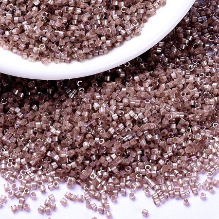 MIYUKI Delica Beads SEED-J020-DB1879-1