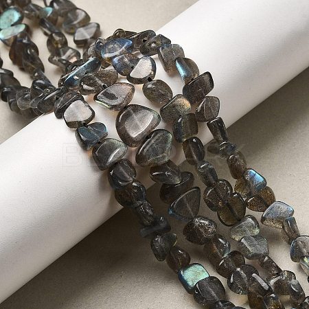 Natural Labradorite Beads Strands G-A279-A01-01-1