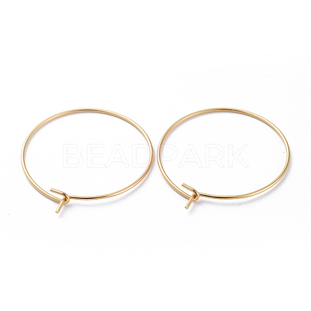 316 Surgical Stainless Steel Hoop Earring Findings LS-X-STAS-J025-01C-G-1