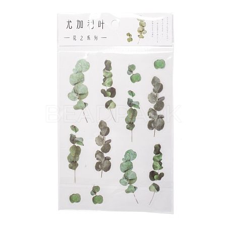 Flower Pattern Waterproof Self Adhesive Hot Stamping Stickers DIY-I063-06-1
