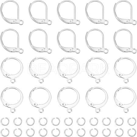 120Pcs 2 Style 304 Stainless Steel Leverback Earring Findings STAS-UN0038-45-1