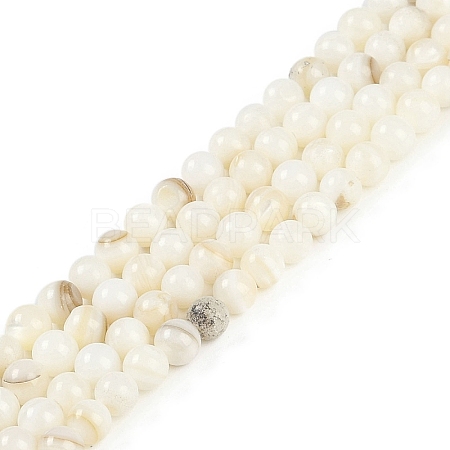 Natural Cultured Freshwater Shell Beads Strands BSHE-H109-03C-1