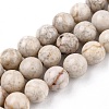 Natural Maifanite/Maifan Stone Beads Strands G-I187-8mm-01-5