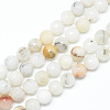 Natural Agate Bead Strands X-G-R346-10mm-26-1