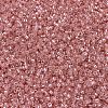 MIYUKI Delica Beads SEED-MY11-DB1481-3