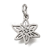 304 Stainless Steel Charms SA-CBA4CE0-01P-K-1