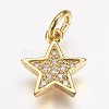 Brass Micro Pave Cubic Zirconia Charms X-ZIRC-G087-35G-1