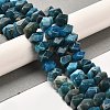 Natural Apatite Beads Strands G-N327-05-06-2