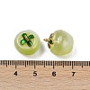 Transparent Glass Apple Pendants X1-DGLA-E004-16B-3