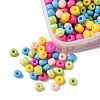 55G 6/0 Baking Paint Glass Seed Beads SEED-FS0001-01-4