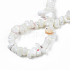 Natural Freshwater Shell Beads Strands SHEL-N003-23-A01-4