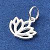 925 Sterling Silver Charms STER-M119-10S-2
