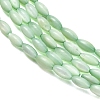 Natural Freshwater Shell Beads Strands SHEL-C010-01-3