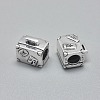 925 Sterling Silver European Beads STER-I019-55AS-2