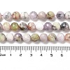 Natural African Opal Beads Strands G-K345-A03-02-5
