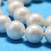 Round Shell Pearl Bead Strands BSHE-L011-10mm-A013A-4