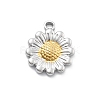 304 Stainless Steel Pendants STAS-R155-045GP-03-1