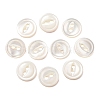 Cat Eye Style Natural Shell Buttons SH-CBAA69B-01E-1