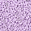 12/0 Baking Paint Glass Round Seed Beads SEED-S036-01A-08-3