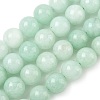 Dyed Natural Malaysia Jade Beads Strands G-G021-01D-11-1