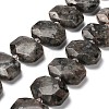 Natural Fluorescent Syenite Rock(Glow under UV Light) Beads Strands G-H078-B11-01-1