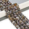 Natural Agate Beads Strands G-M437-B01-01M-1