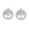 304 Stainless Steel Pendants STAS-N095-157-1