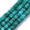 Natural Freshwater Shell Beads Strands X-SHEL-Q024-001D-1