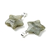 Natural Labradorite Pendants GG-K002-10G-2
