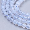Natural Blue Chalcedony Beads Strands X-G-R475-032-3