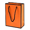 Rectangle Paper Bags with Twisted Rope Handles CARB-L011-01D-02-1