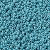 MIYUKI Round Rocailles Beads SEED-JP0010-RR2470-3