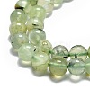Natural Prehnite Beads Strands G-G457-6mm-03-4