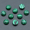 Synthetic Malachite Cabochons PW-WG51238-14-1