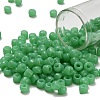 TOHO 3/0 Round Beads X-SEED-TR03-0156-1