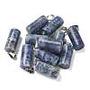 Natural Blue Spot Jasper Pendants G-B127-17P-03-1